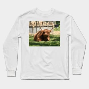 Highland cow Long Sleeve T-Shirt